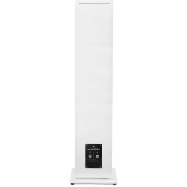 Nouveau 🔥 Triangle Enceinte Colonne Borea BR07 🔔 3