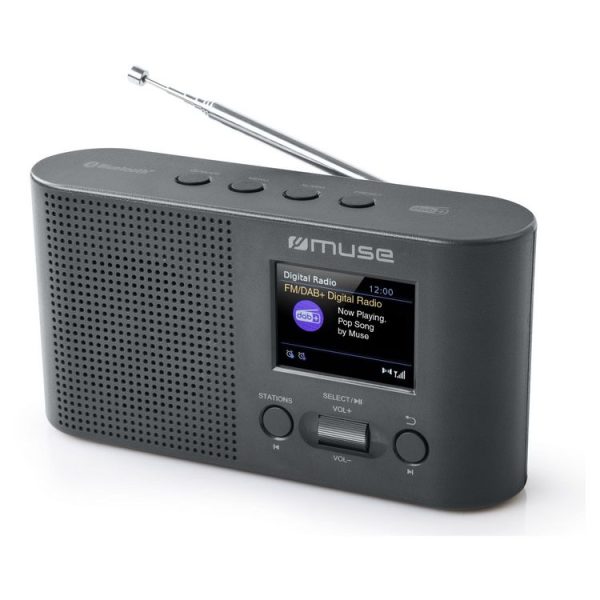Meilleur prix 😍 MUSE Radio Portable Numérique – Gris – M-112 DBT 🥰 1