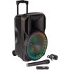 Sortie 🎁 LOTRONIC Enceinte Portable PARTY 12RGB 🎁 13