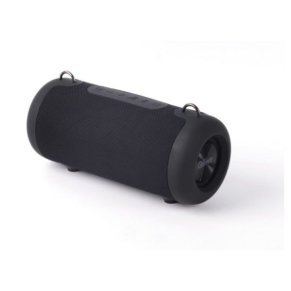 Grosses soldes 👏 QILIVE Enceinte Q1553 BT Powerbank – Noir 👍 1